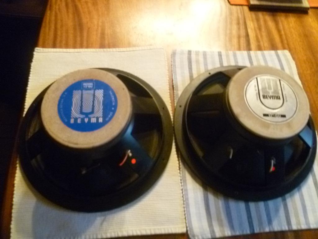 Beyma 12GU, 8 ohm, 12 inch, Audio, Tv en Foto, Ophalen, Gebruikt