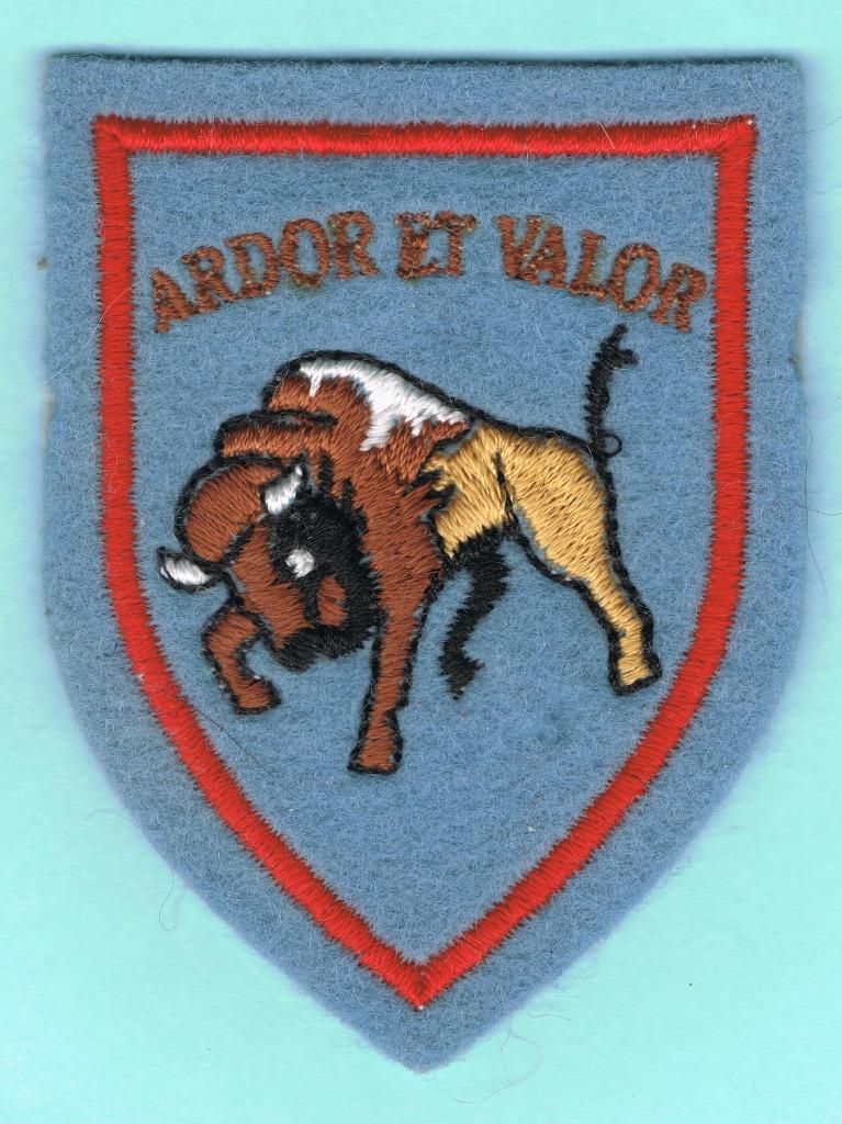 Belgian Air Force Sleeve Insignia ( MS 103 ), Enlèvement ou Envoi, Armée de l'air, Emblème ou Badge