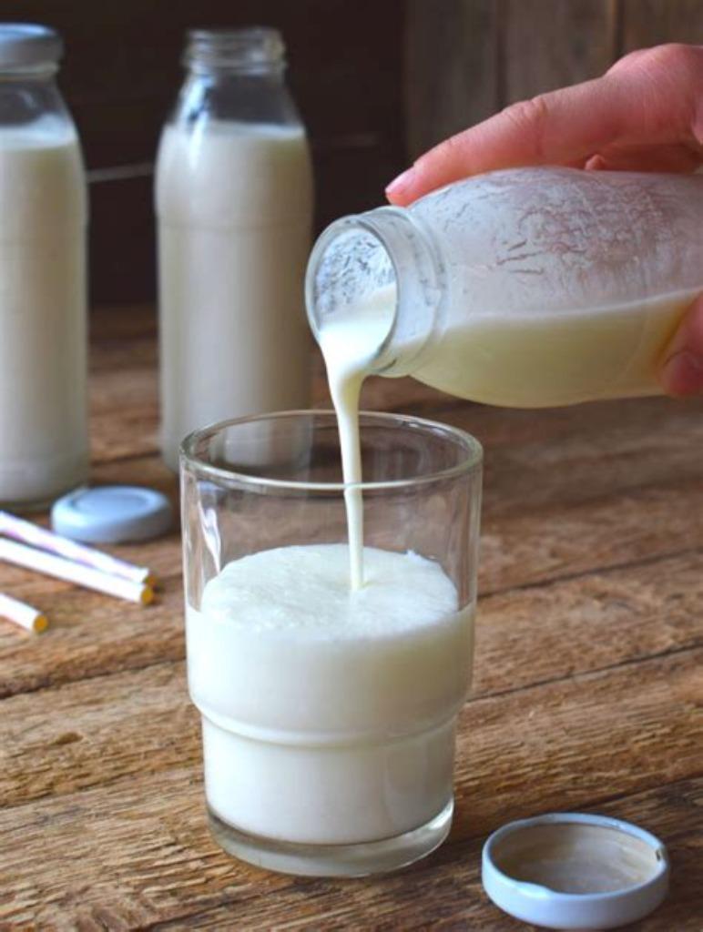 Melk Kefir champagne MelkKefir verse Kefir korrel probiotica, Ophalen