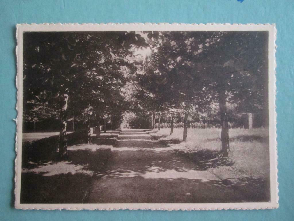 oude postkaart Auderghem, Collections, Envoi