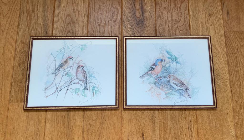 Twee tekeningen van vogels. Bernadette Voy, Ophalen of Verzenden