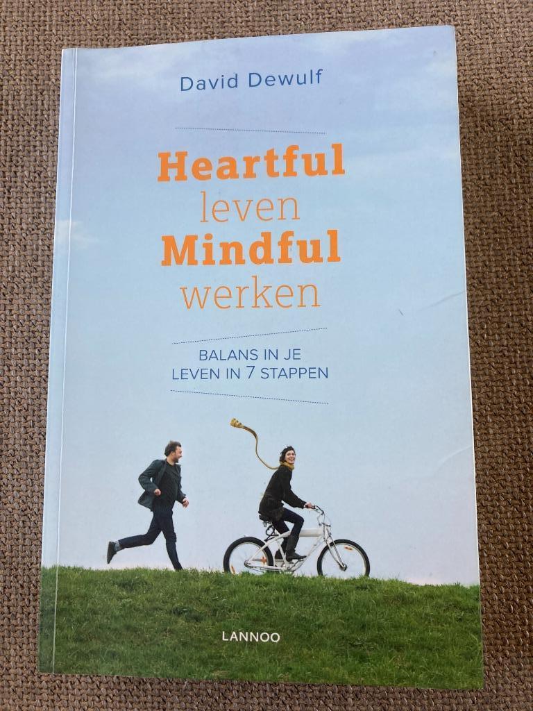 David Dewulf - Heartful leven mindful werken, Boeken, Ophalen of Verzenden, David Dewulf