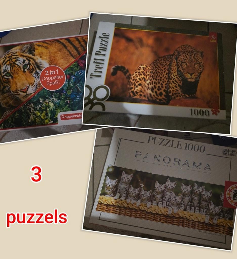Puzzles, Enlèvement