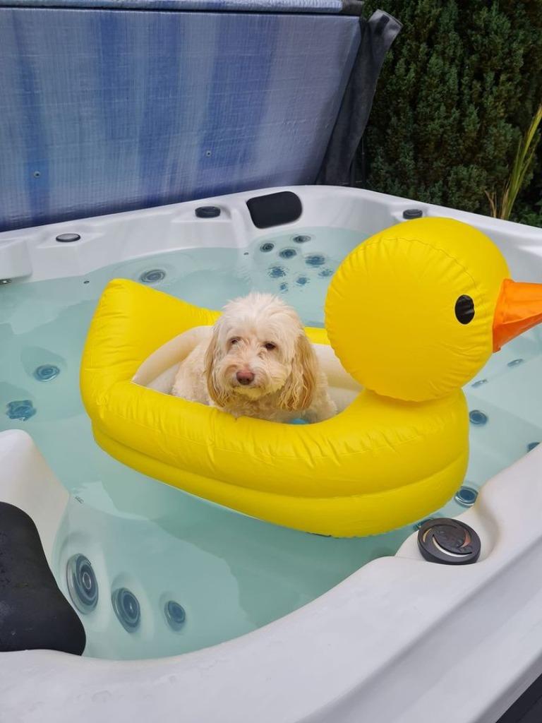 jacuzzi neuf 3 à 4 personnes Encore 3 en stock, Jardin & Terrasse, Enlèvement, Neuf