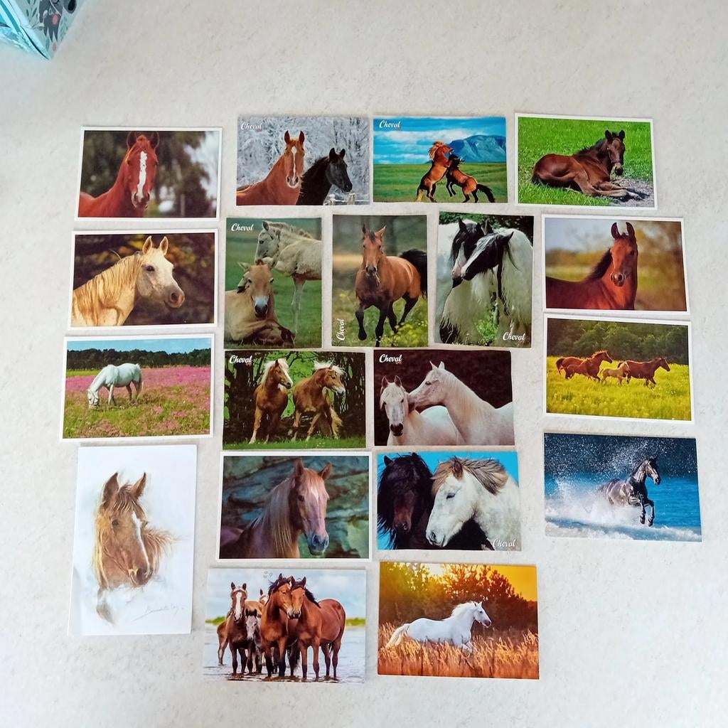 Set van 19 fotokaarten voor paarden, Verzamelen, Postkaarten | Dieren, Ophalen of Verzenden, 1980 tot heden, Ongelopen, Paard