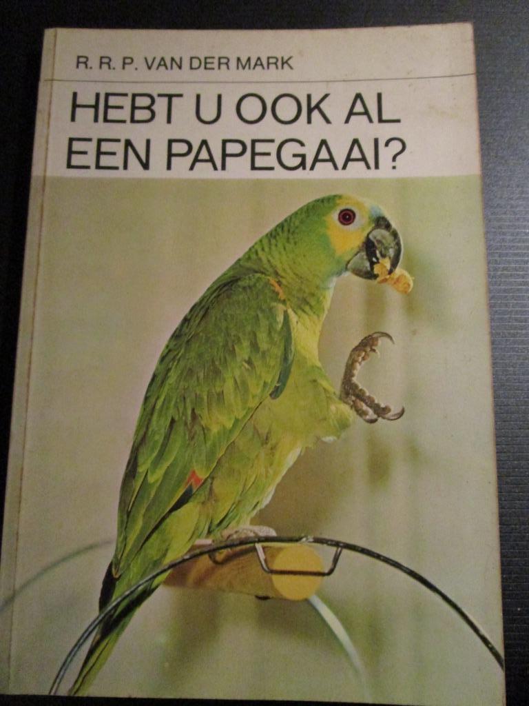 perroquets, Animaux & Accessoires, Oiseaux | Perruches & Perroquets, Perroquet