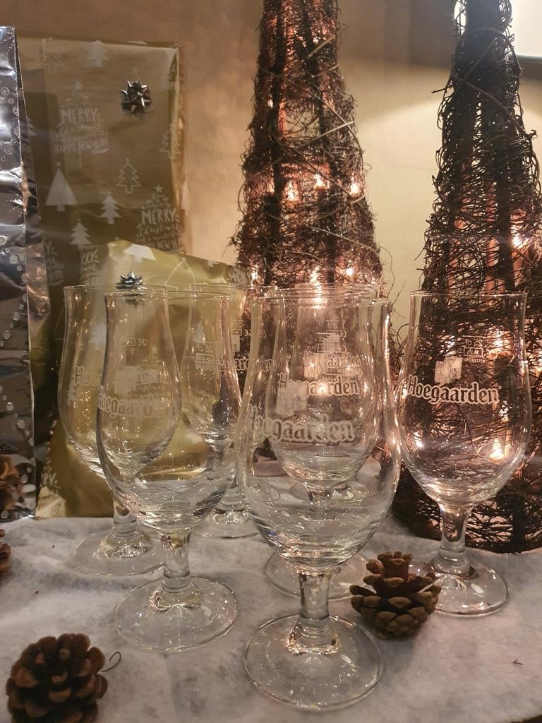 7 verres à pied HOEGAARDEN (Chimay/Namur), Enlèvement, Comme neuf