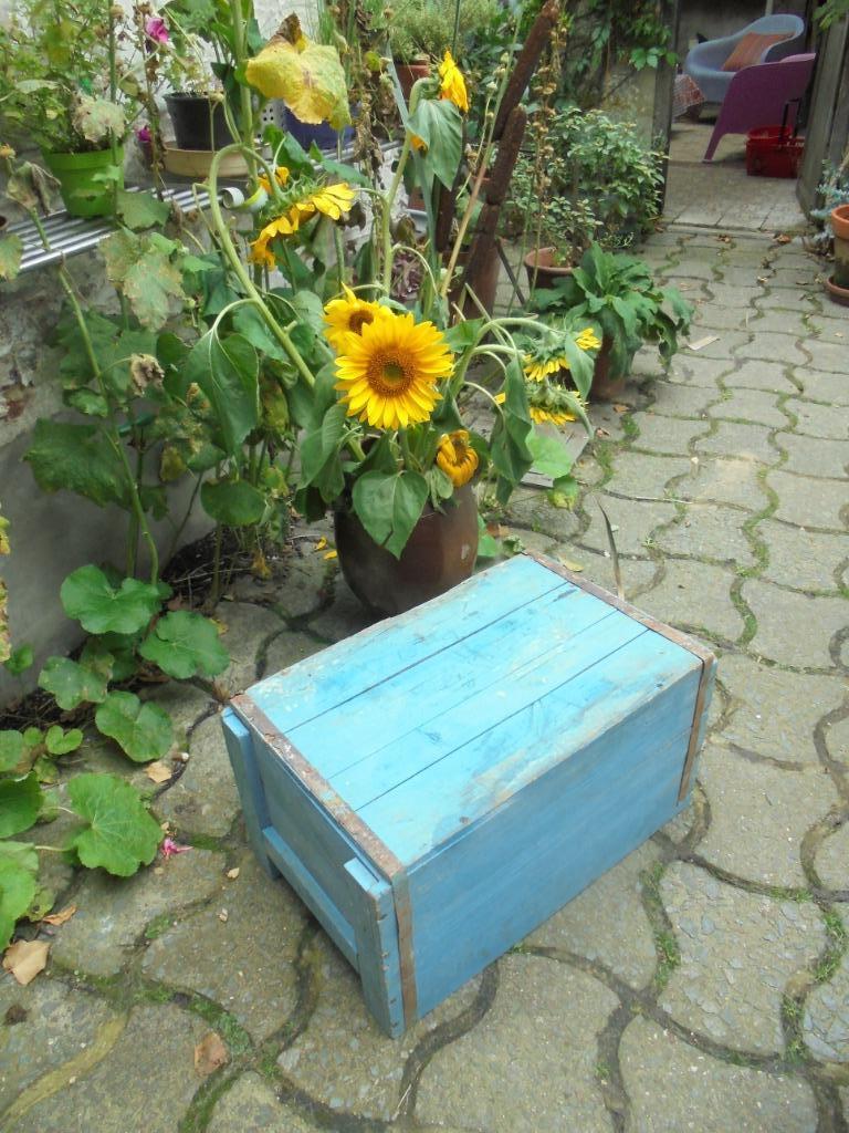 Blauwe decoratieve houten vintage kist, Antiek en Kunst, Ophalen