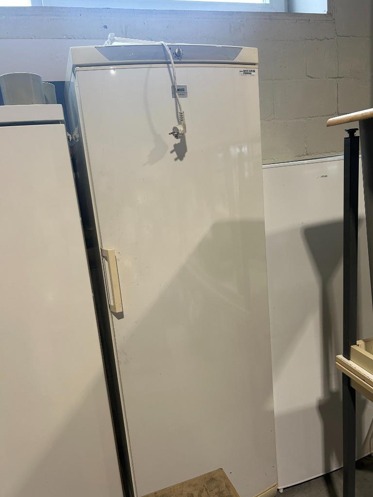 koelkast Zanussi, 160 cm ou plus, Sans bac à congélation, Enlèvement, Utilisé