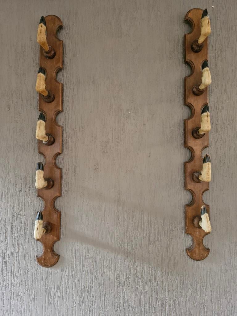 Wapenrek hertenpoten, Ophalen