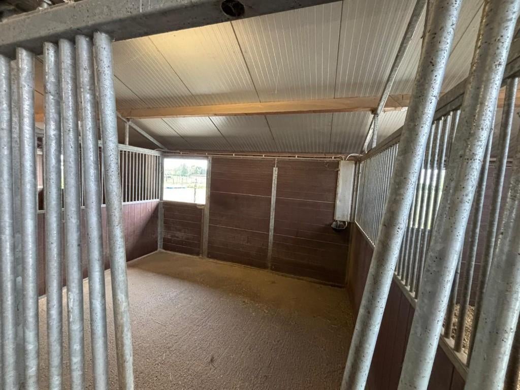 Leuke stal beschikbaar, Dieren en Toebehoren, Stalling en Weidegang, Weidegang, 1 paard of pony