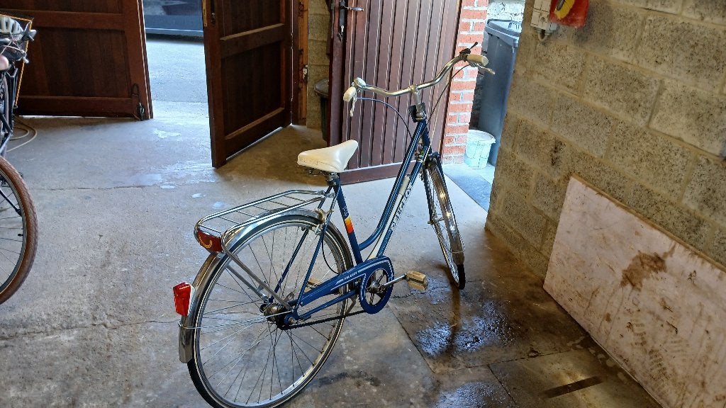 vélo dame peugeot, Autres marques, Vitesses, Frein sur jante, Enlèvement