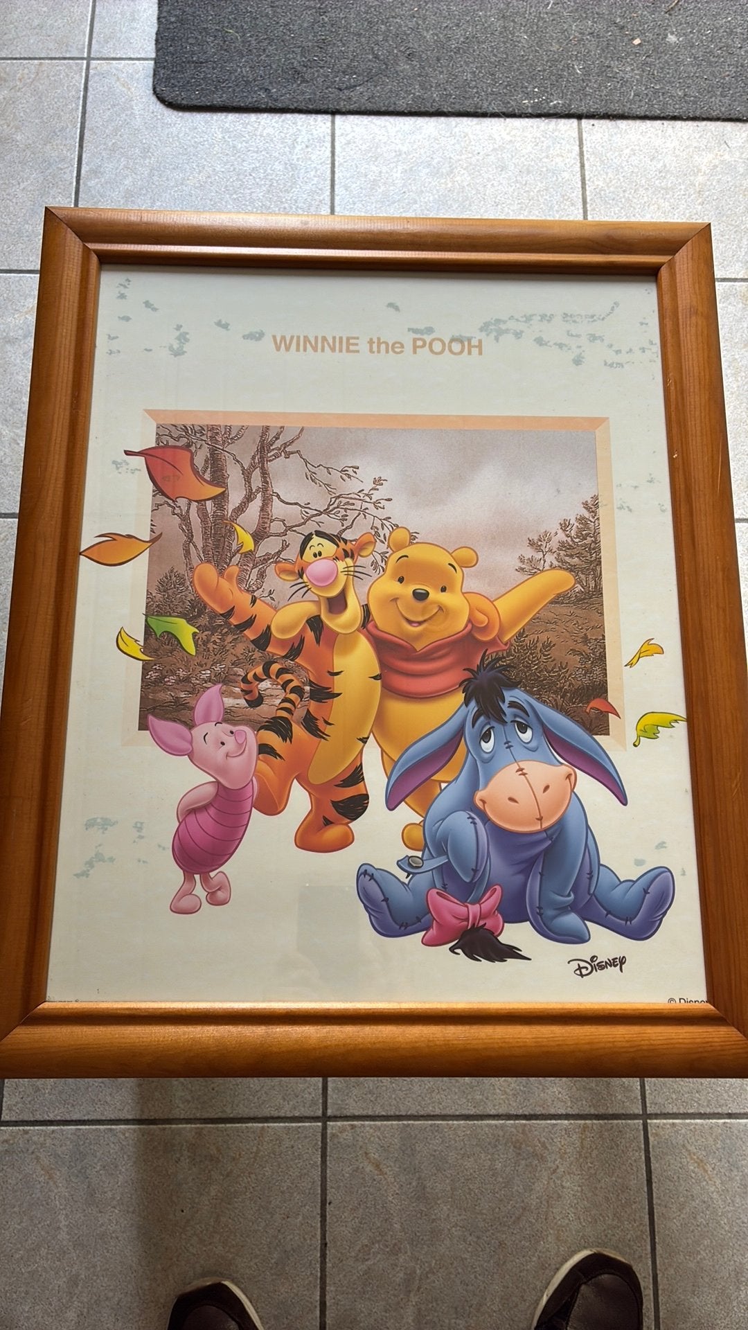 DISNEY Winnie the Pooh kader met tekening, Huis en Inrichting, Woonaccessoires | Schilderijen, Tekeningen en Foto's, Ophalen, Zo goed als nieuw