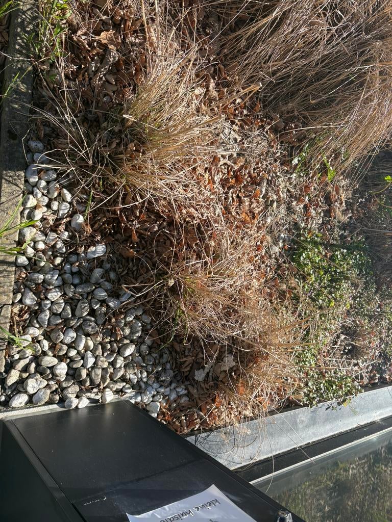 Gratis stenen en riet, Ophalen