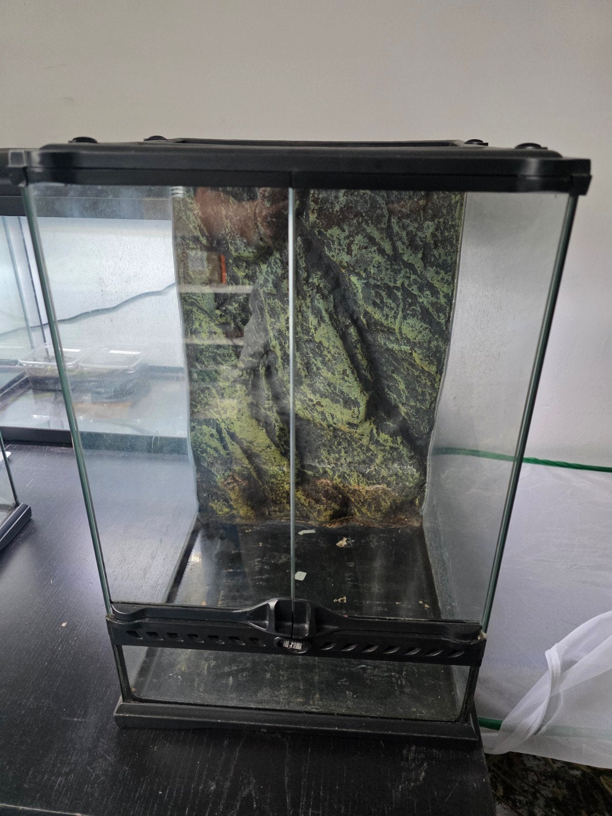 Exo terra terrarium, Ophalen