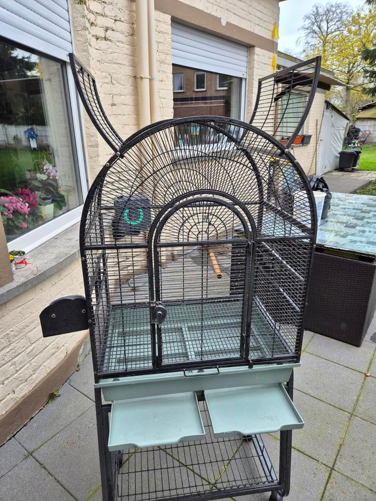 Te koop vogelkooi, Enlèvement ou Envoi, Cage à oiseaux