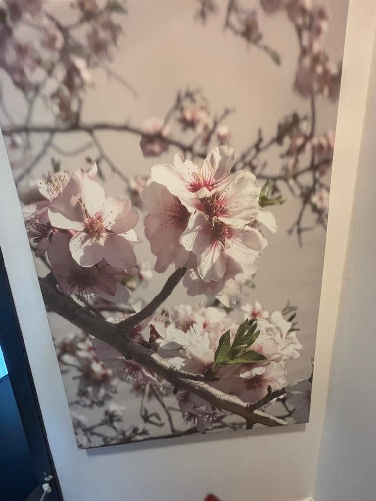 Ikea grote canvas, Huis en Inrichting, Ophalen, Overige materialen, Gebruikt, 100 tot 125 cm