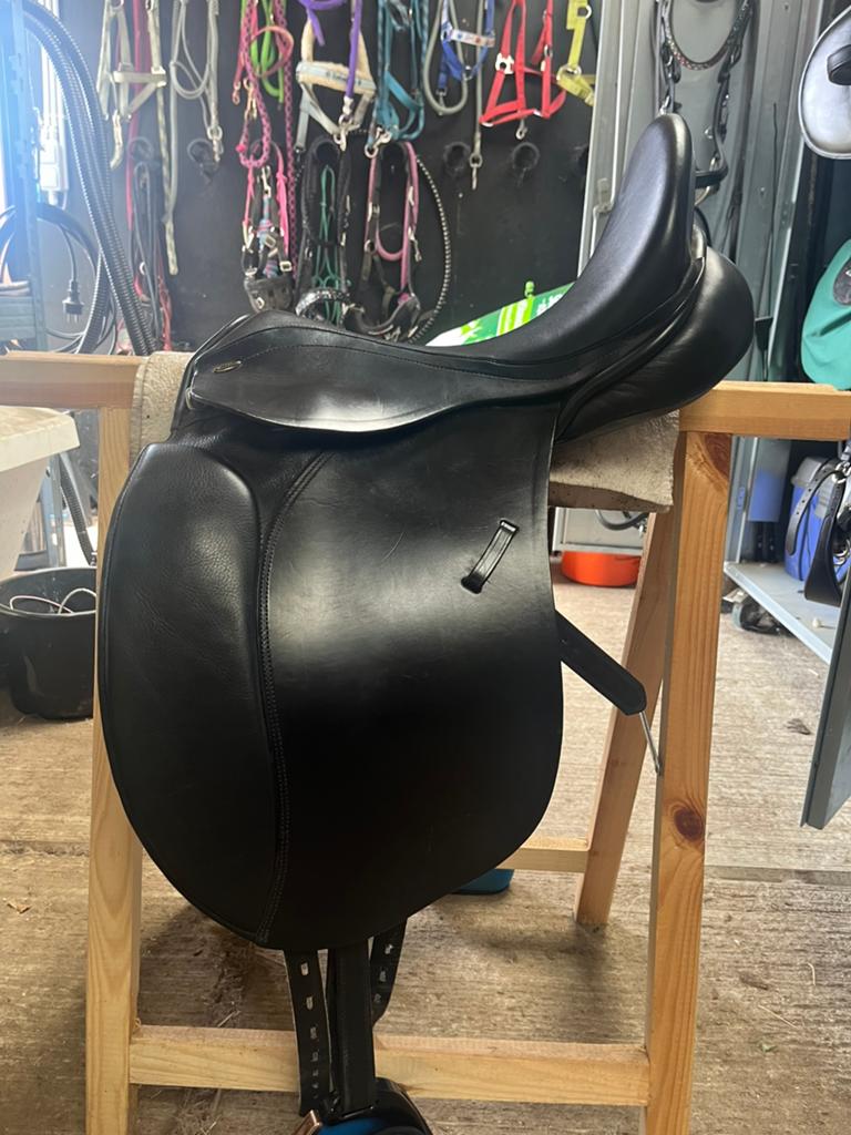 Kentaur penelopa - 17 inch - boom 3 / MW, Dieren en Toebehoren, Ophalen, Zo goed als nieuw