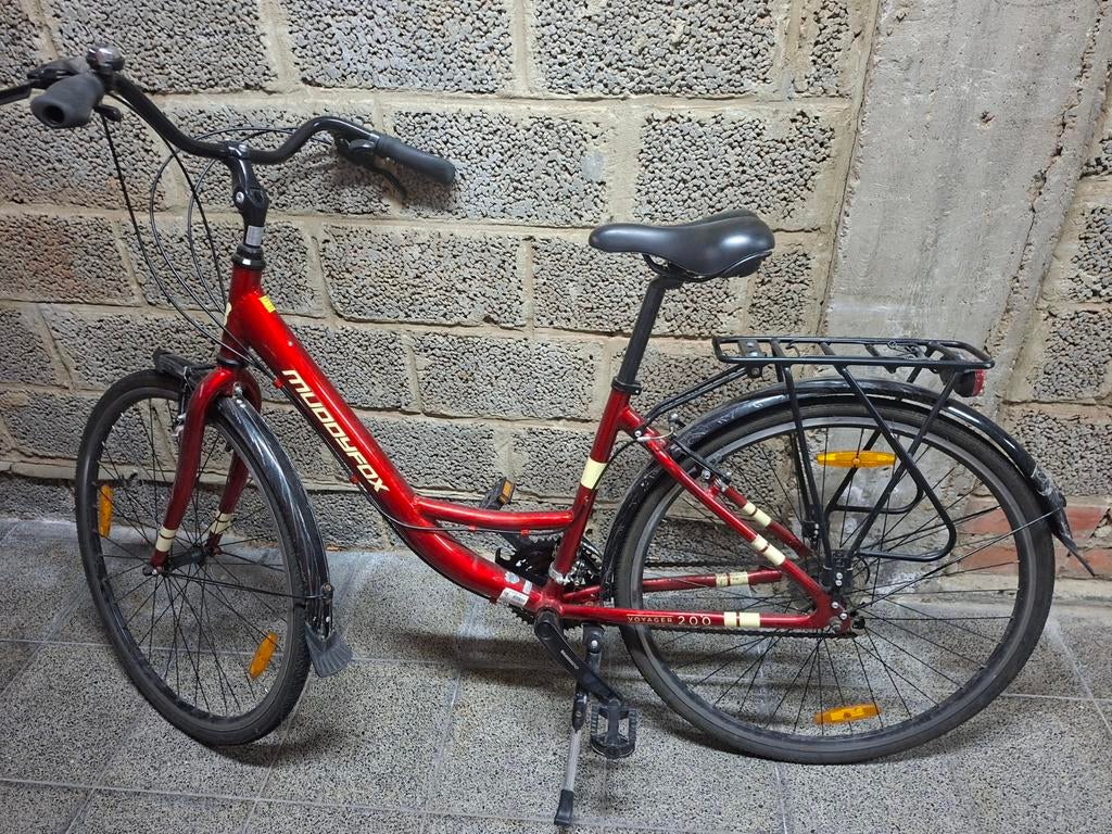 Vélo adulte