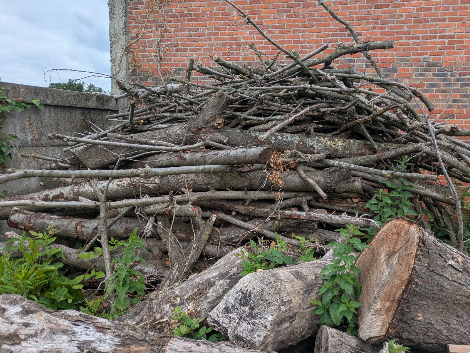Brandhout geleverd +-5m³, Ophalen