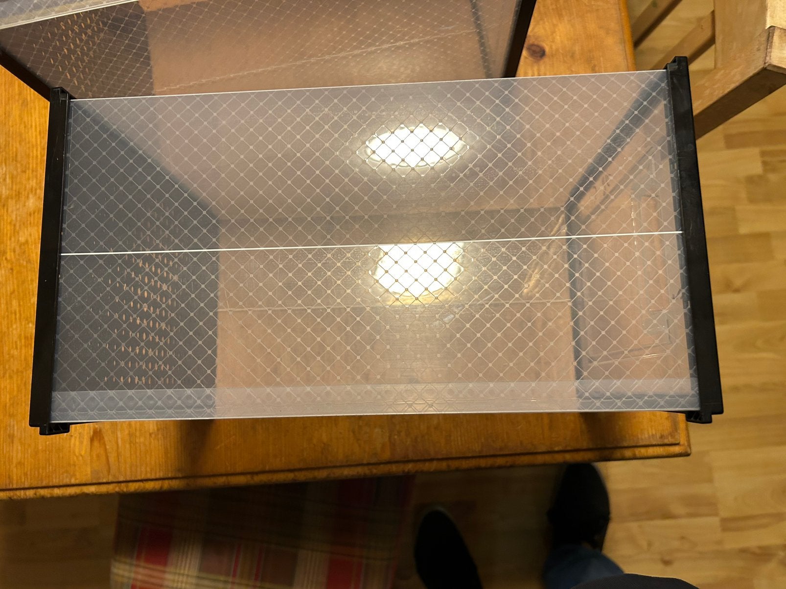 Terarium om te kweken, Dieren en Toebehoren, Overige soorten, 0 tot 2 jaar