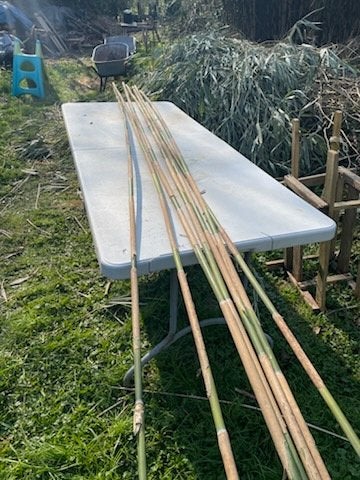 bamboe stokken, Jardin & Terrasse, Écrans de jardin, Neuf, Enlèvement, Bois, 200 cm ou plus