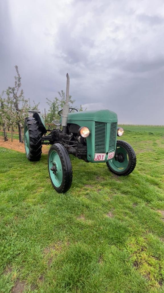 Massey Ferguson TED20, Enlèvement, Oldtimer/Ancêtre, Massey Ferguson
