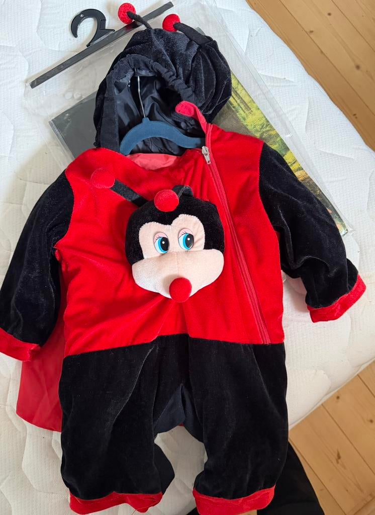 Carnaval lieveheersbeestje, Ophalen, Zo goed als nieuw, 104 of kleiner, Jongen of Meisje