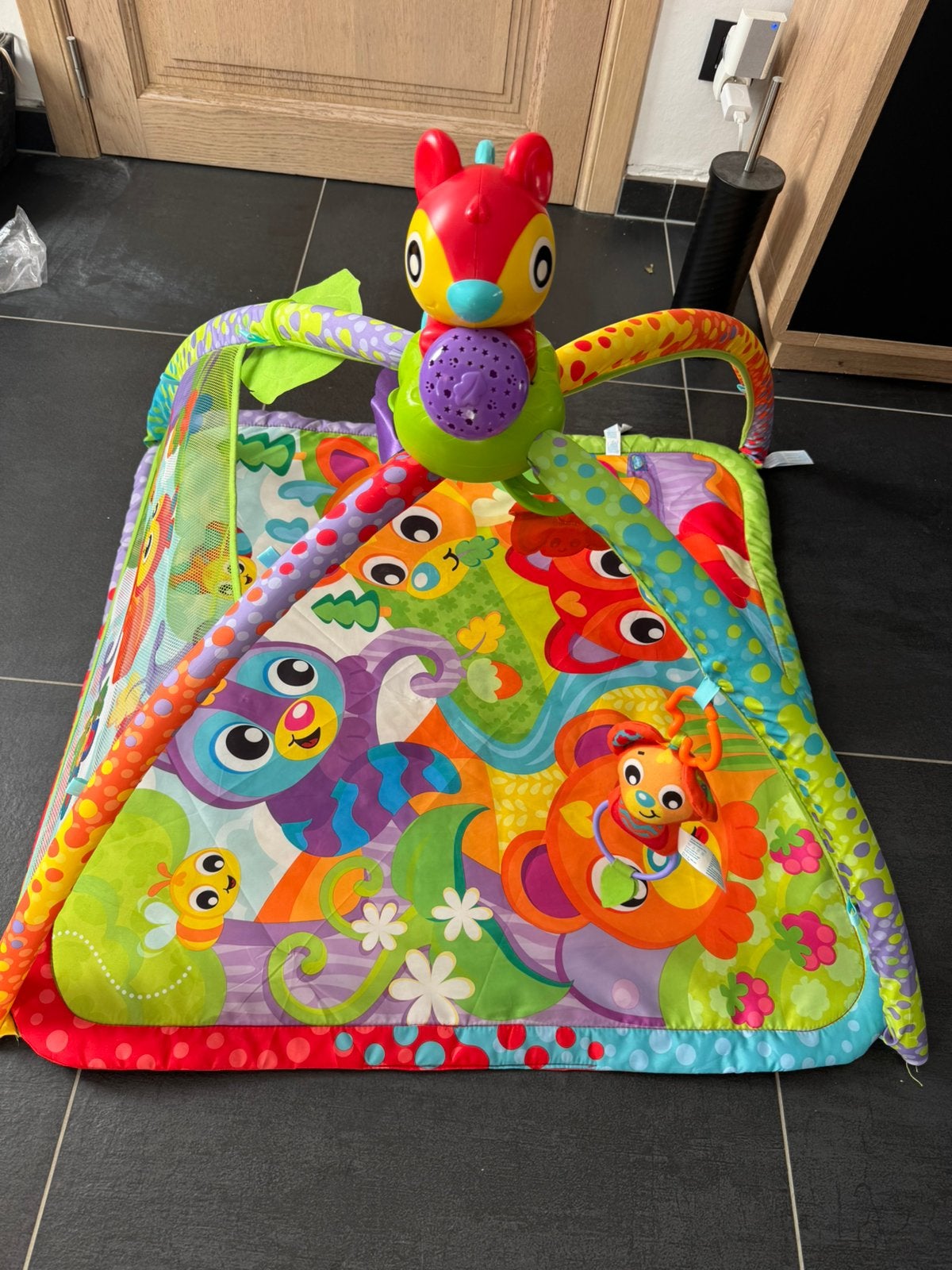 Speelmat Playgro, Ophalen, Zo goed als nieuw