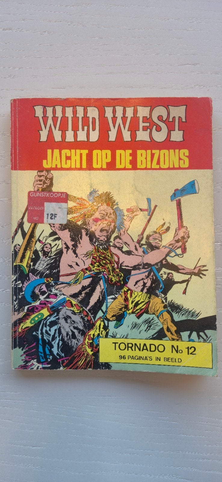 Chasse au bison du Far West, Livres, BD | Comics, Enlèvement, Utilisé