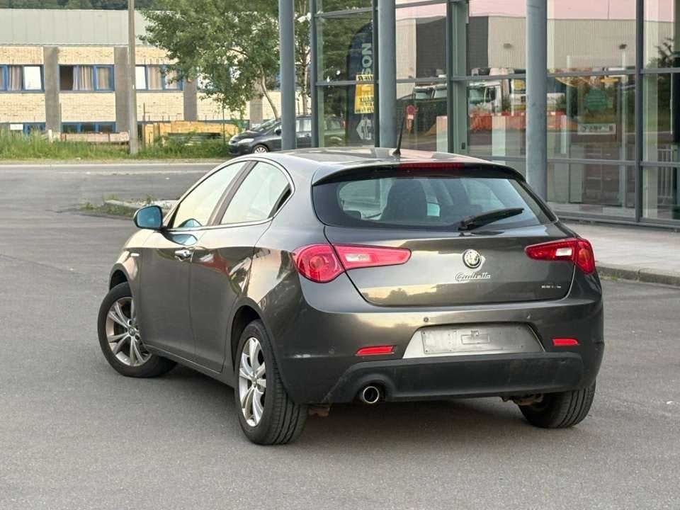 Alfa Romeo Giulietta, Dieren en Toebehoren, Rijtuigen en Koetsen