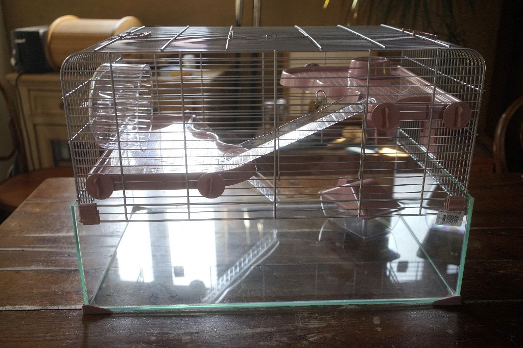 Cage hamster souris zolux panas colour 60, Animaux & Accessoires, Neuf, Moins de 60 cm, Cage, Hamster