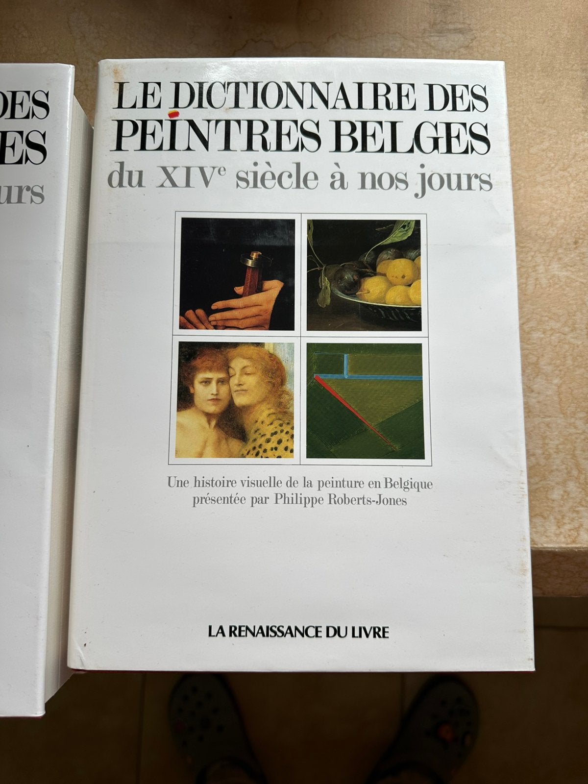 Dictionnaire des Peintres Belges XIV siècle à nos jours, Ophalen of Verzenden, Zo goed als nieuw