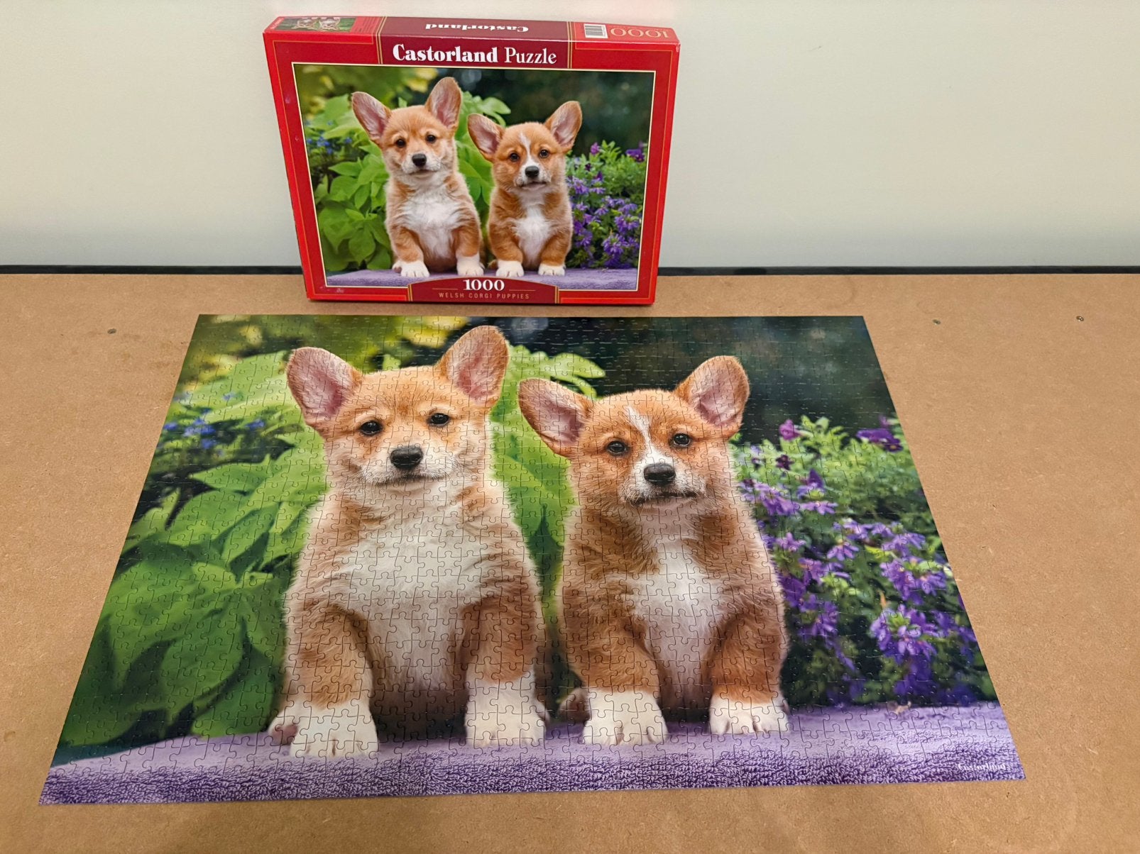 Castorland puzzel: Welsh Corgi puppies 1000 stukjes, Ophalen of Verzenden, 500 t/m 1500 stukjes, Zo goed als nieuw, Legpuzzel