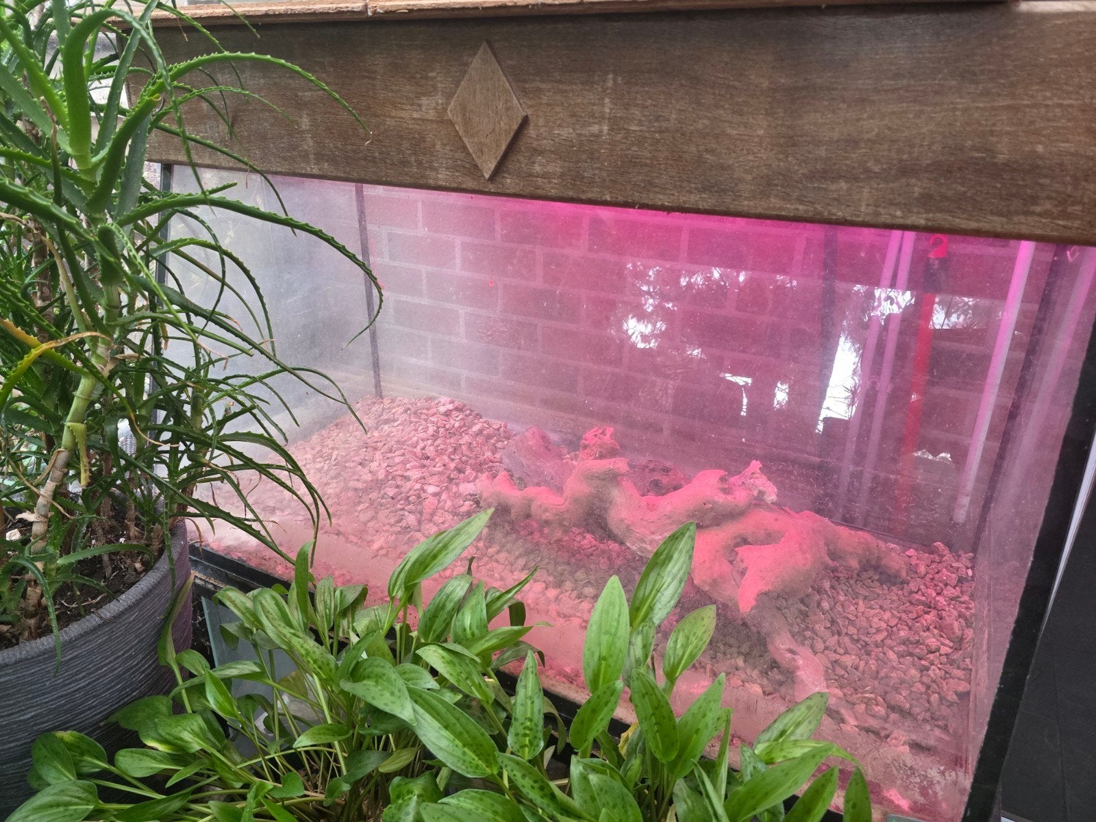 Aquarium 120 cm avec cadre en métal, LED et chauffage, Enlèvement, Chauffage, Decoratie, JBL