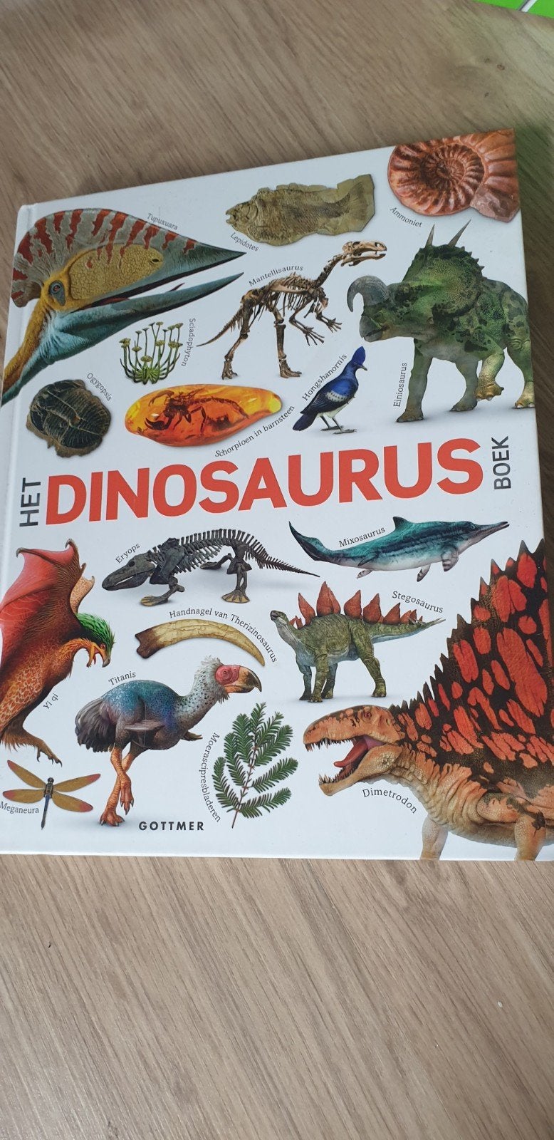 het dinosaurus boek, Hobby en Vrije tijd, Tekenen, Ophalen of Verzenden, Zo goed als nieuw, Boek of Gids