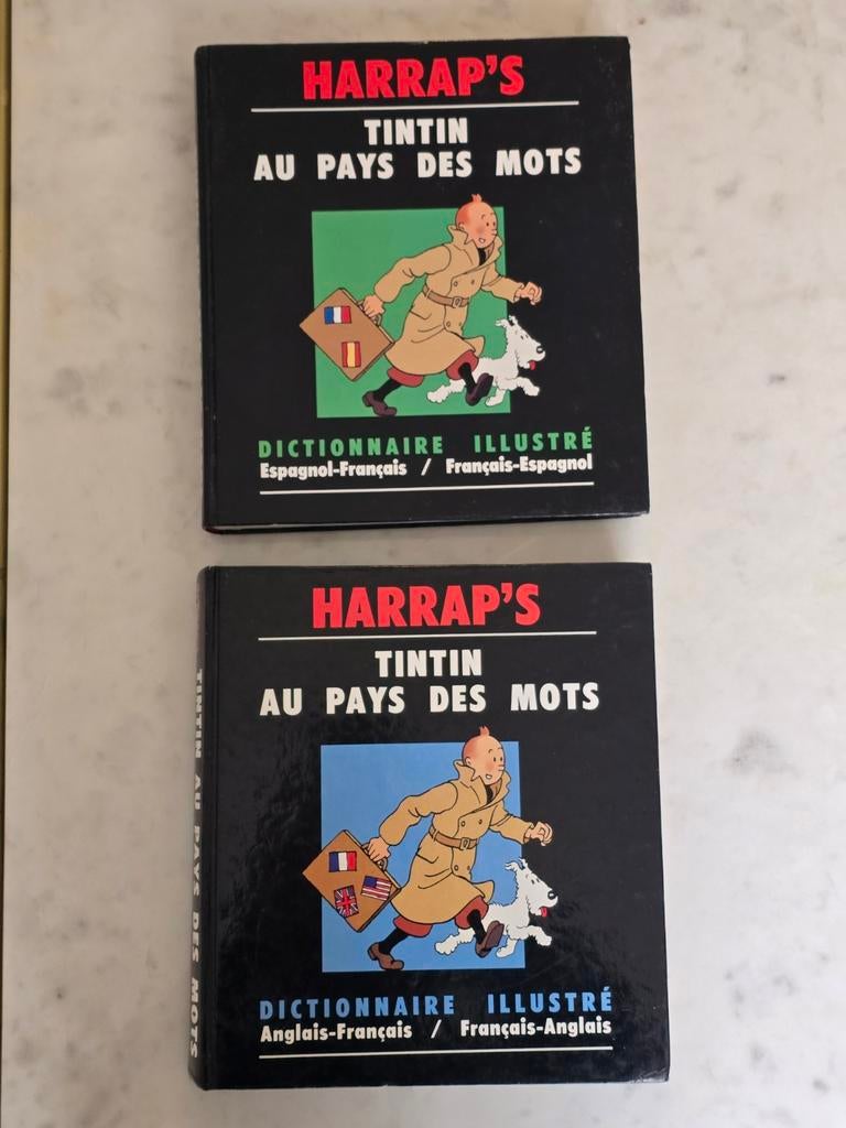 Tintin au pays des mots - 1990, Enlèvement ou Envoi, Anglais