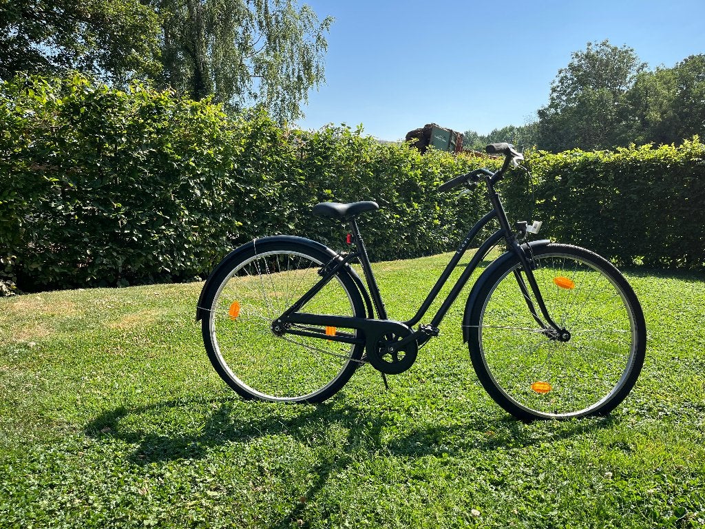 Vélo dame, Vélos & Vélomoteurs, Vélos | Femmes | Vélos pour femme, Enlèvement, Utilisé, Frein à rétropédalage, Autres marques