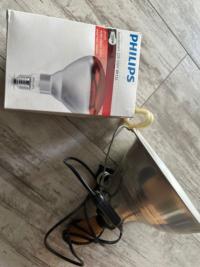 Nieuw Infrarood lamp van philips + armatuur, Ophalen, Huis en Inrichting