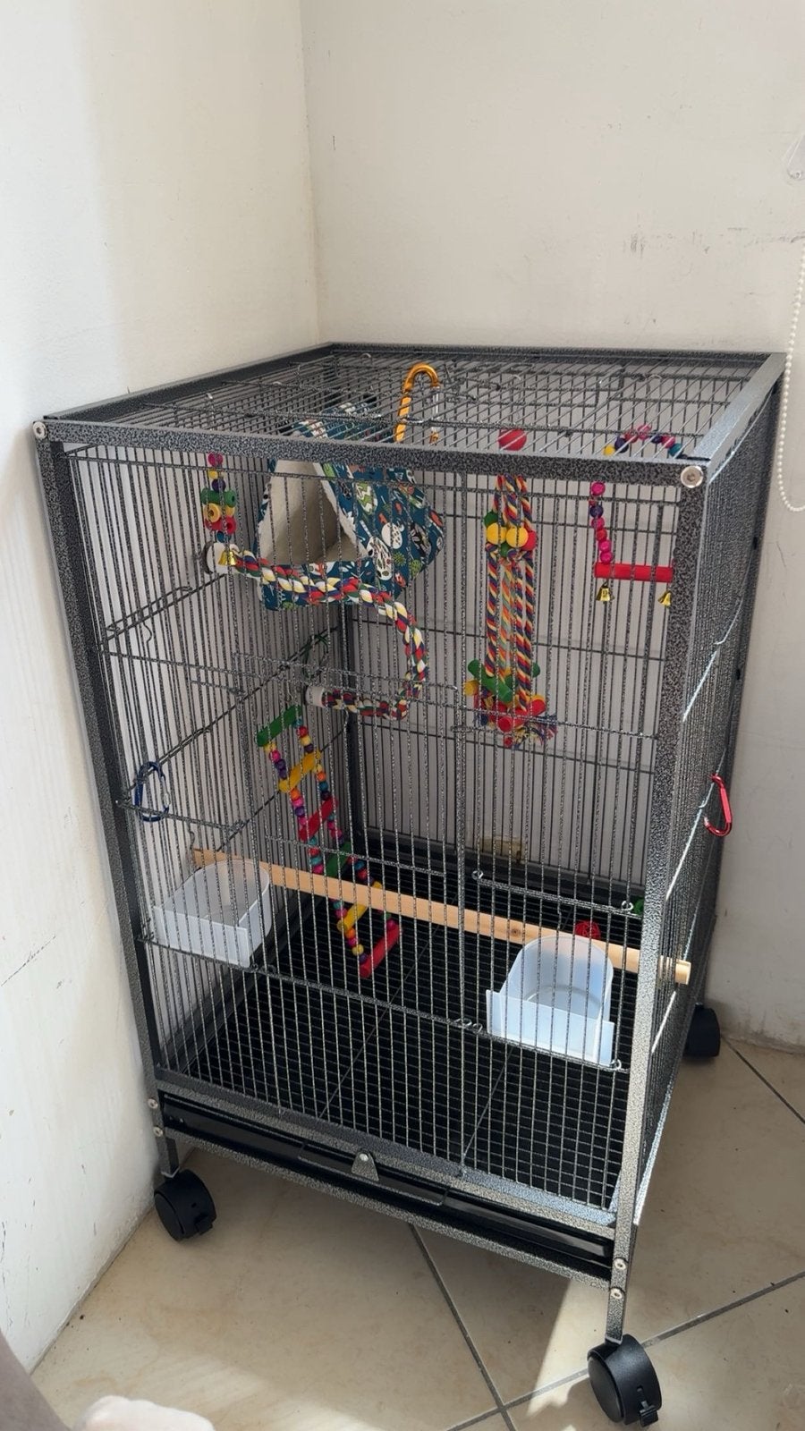 Vogelkooien, Ophalen, Nieuw, Metaal, Vogelkooi