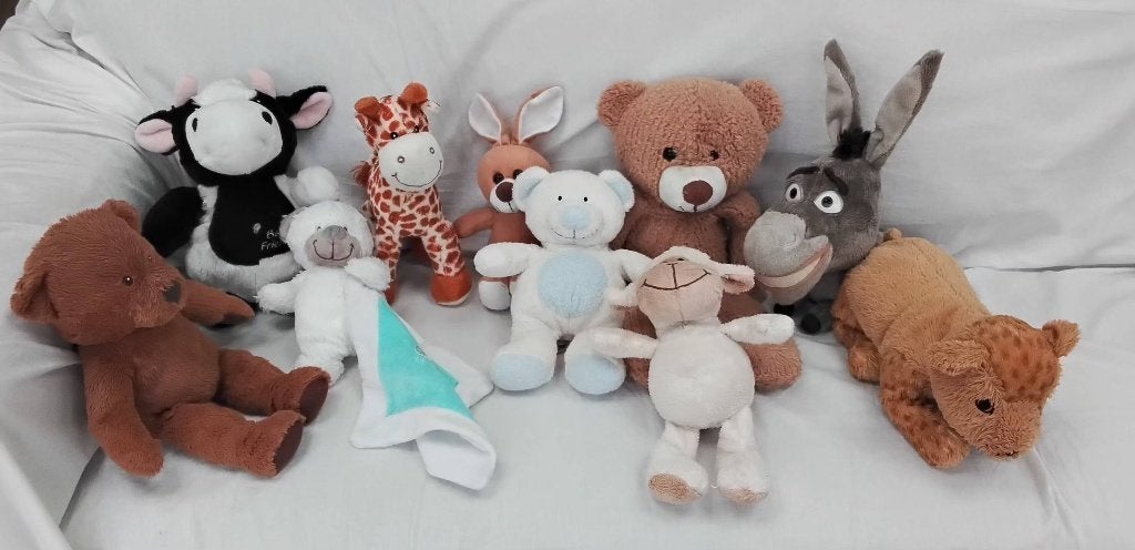 Knuffels 10 stuks, Ophalen of Verzenden, Zo goed als nieuw