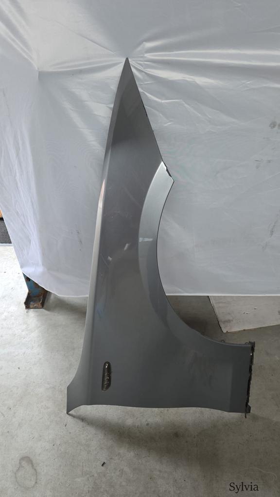Voorscherm Spatbord rechtsvoor BMW 1 serie E81 E82 E87 + LCI, -, Garde-boue, Utilisé, -