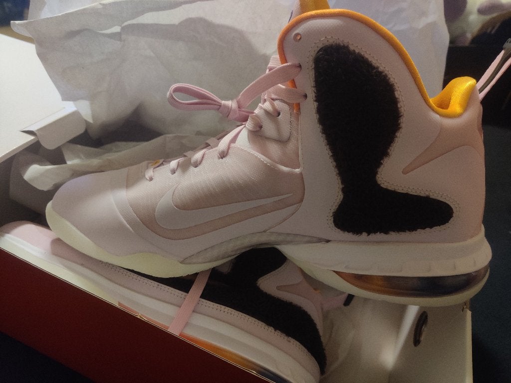 Chaussures Nike 44.5, chaussures de basket-ball Nike Lebron, Vêtements | Hommes, Neuf, Enlèvement ou Envoi, Autres couleurs, Nike