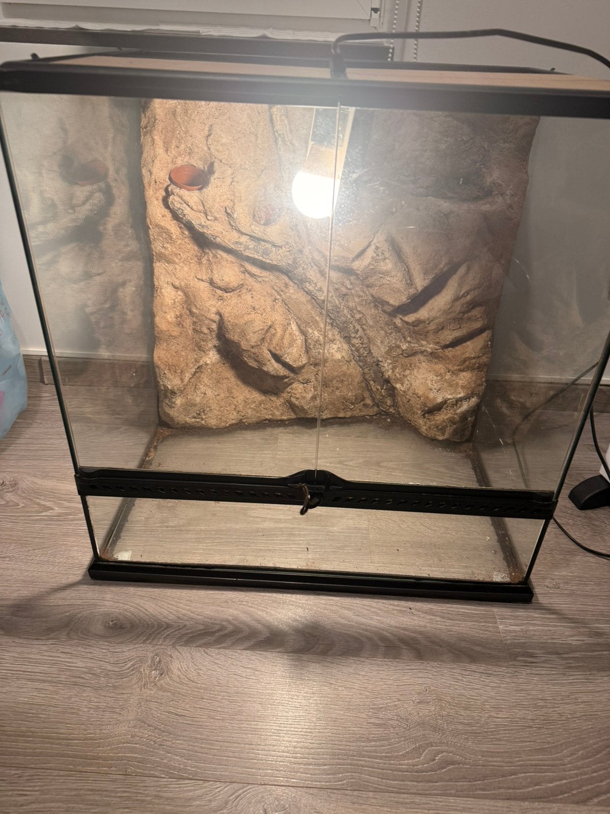 Exo terra 60 x 45 x 60, Dieren en Toebehoren, Ophalen, Zo goed als nieuw, Terrarium of Paludarium