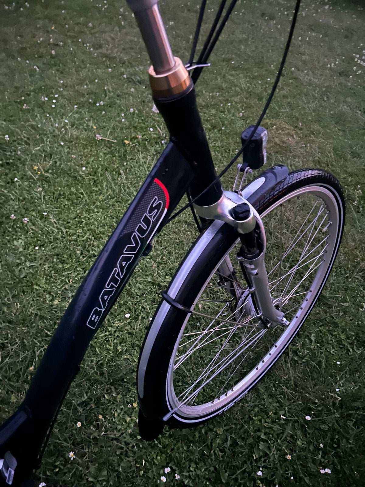 Vélo pour femme, vélo pour fille, vélo d'étudiant, vélo de v, Enlèvement