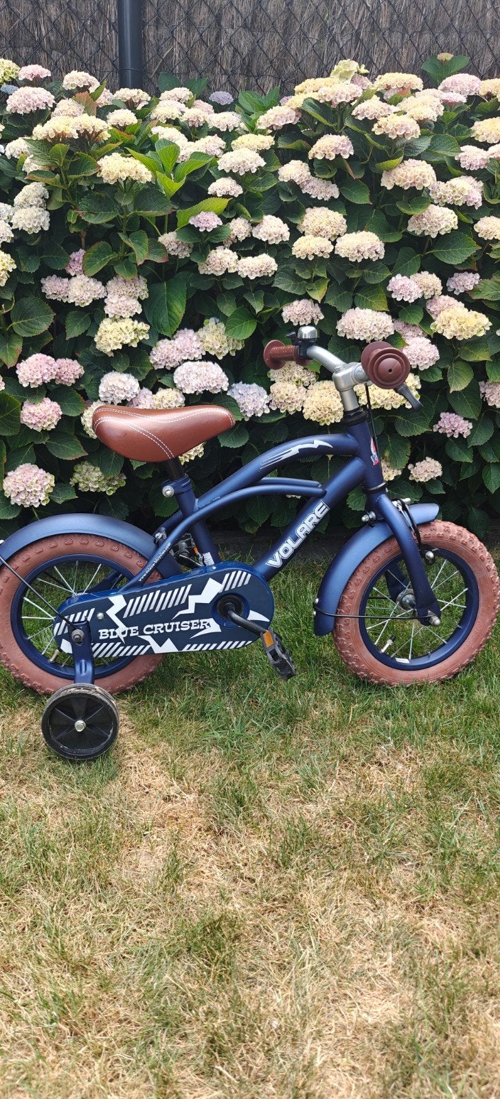 kinderfiets 12 inch, Ophalen, Zijwieltjes