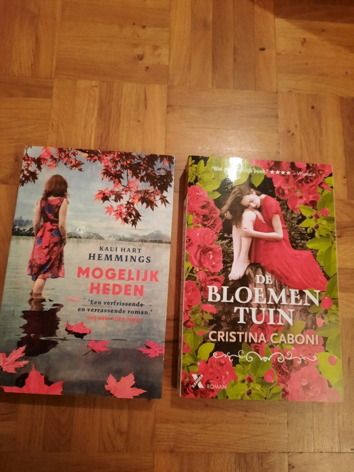 Romans., Boeken, Romans, Ophalen