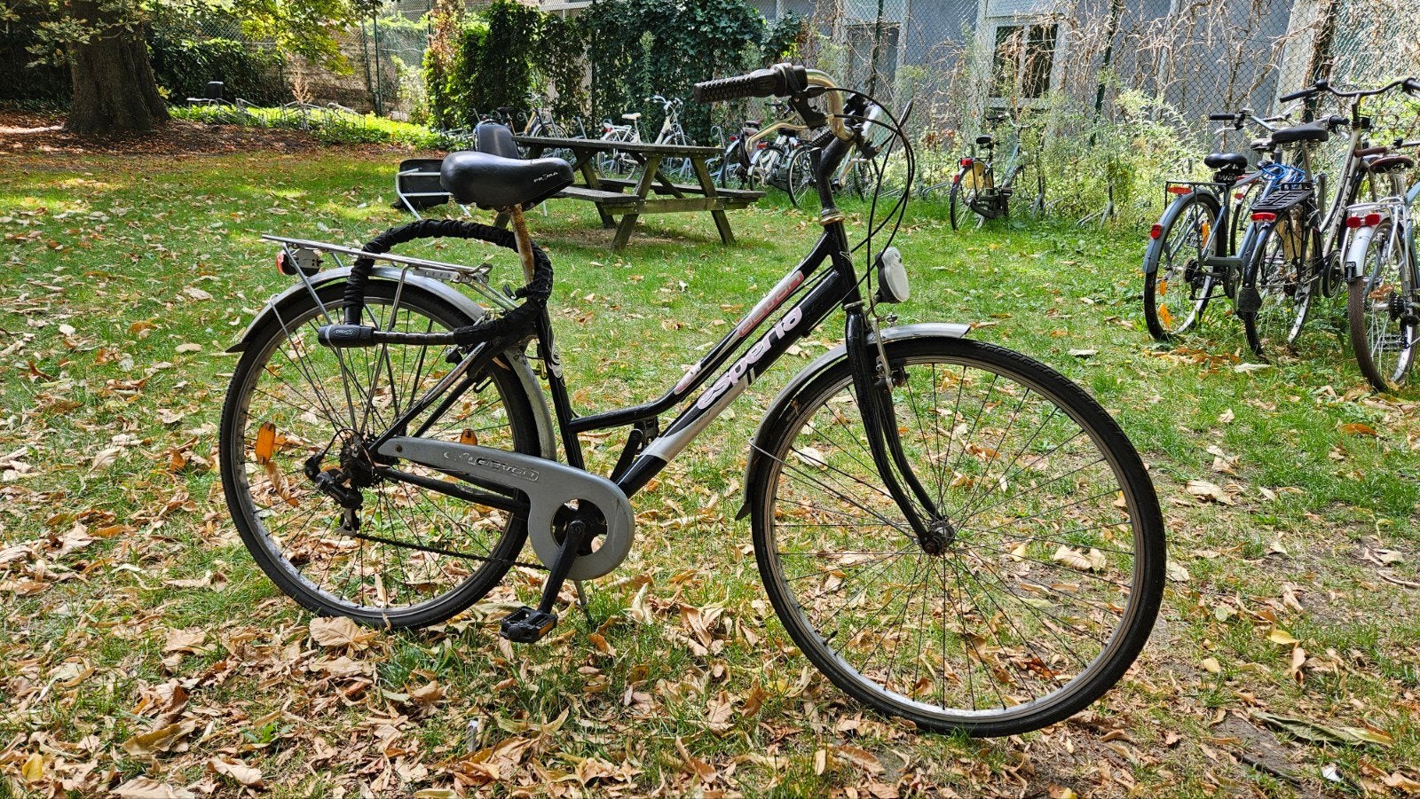 Fiets vrouwenmodel, Enlèvement