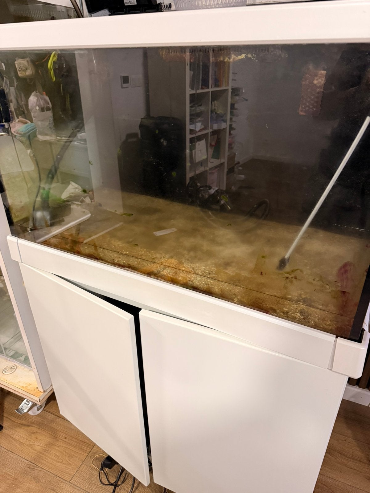 Aquarium marin, Enlèvement, Pompe, Comme neuf