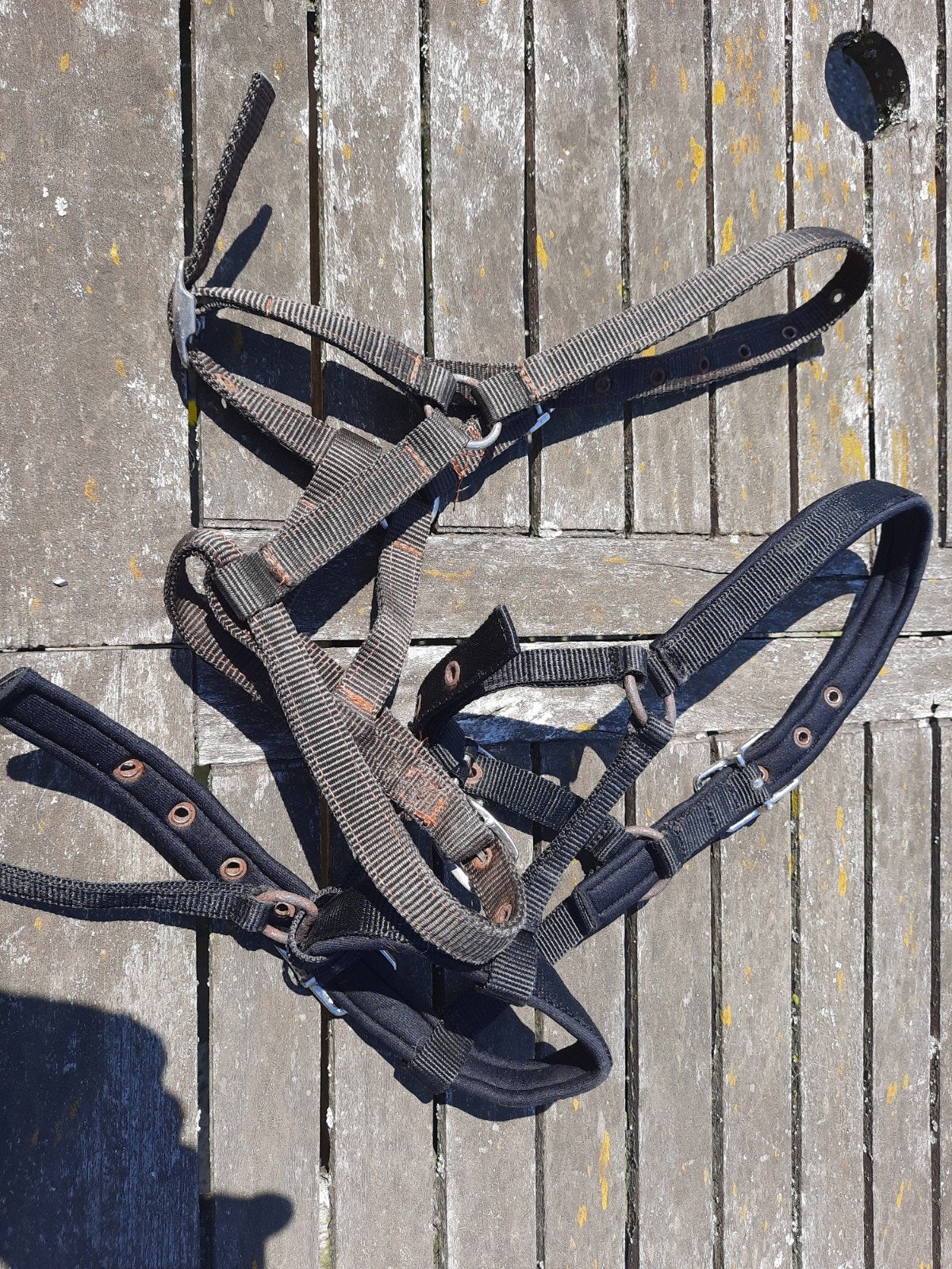 2 veulenhalsters zwart en bruin, Dieren en Toebehoren, Gebruikt, Overige disciplines, Bruin, Ophalen of Verzenden